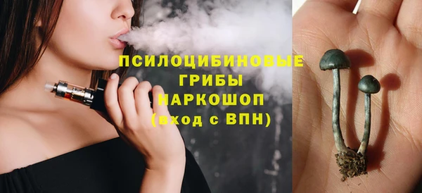 spice Беломорск