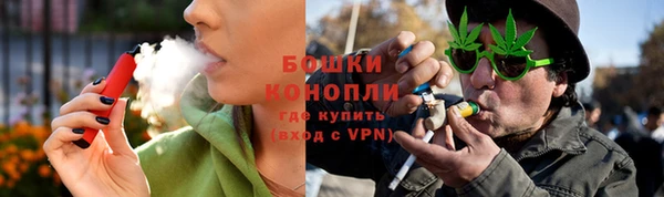 ПСИЛОЦИБИНОВЫЕ ГРИБЫ Медвежьегорск