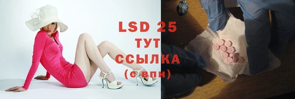 spice Беломорск